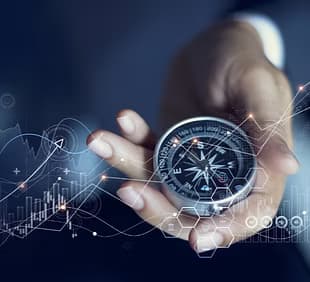 Decarbonation Strategies under Constraints